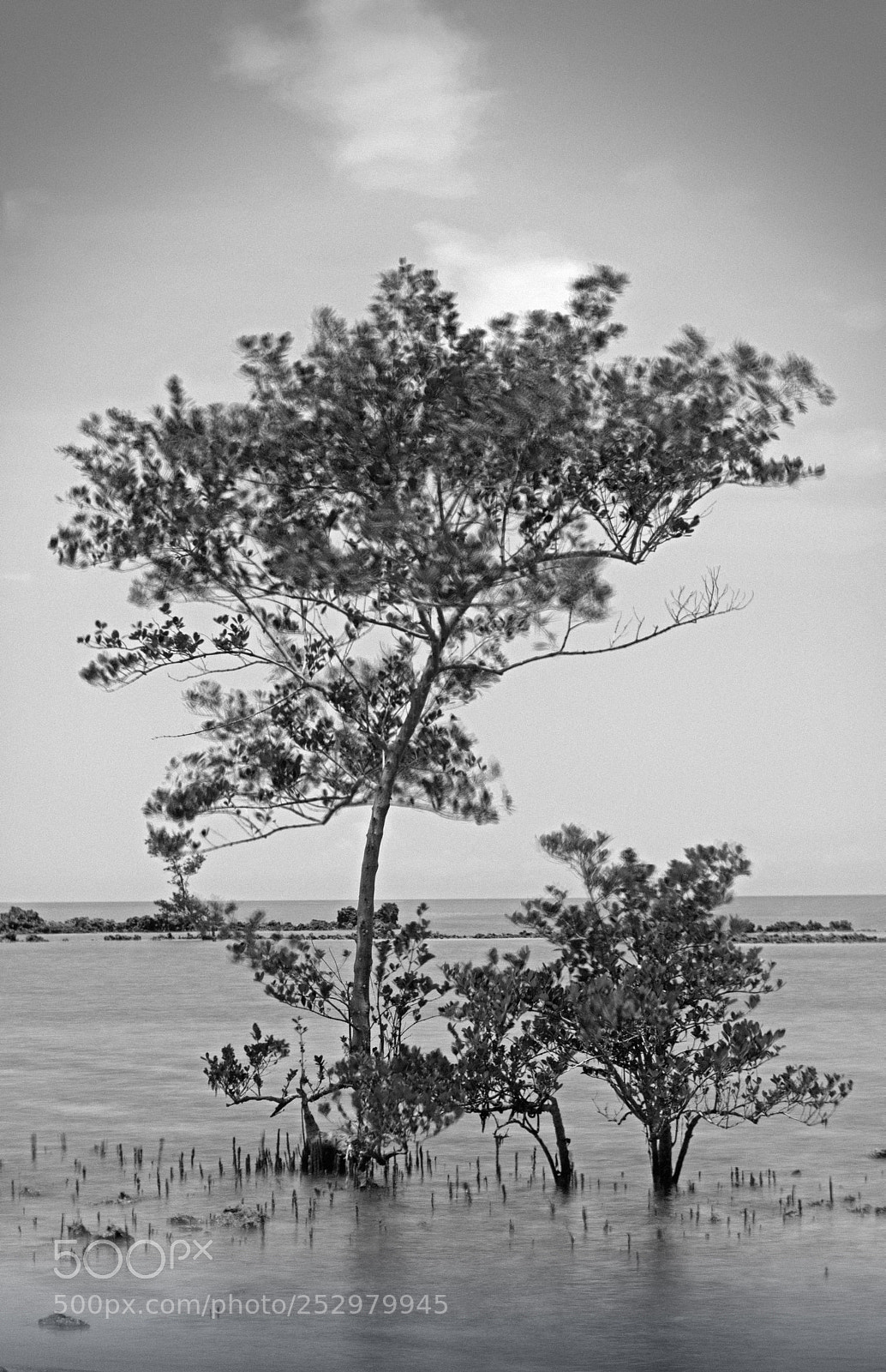 Canon EOS 750D (EOS Rebel T6i / EOS Kiss X8i) sample photo. A couple of idyllic photography