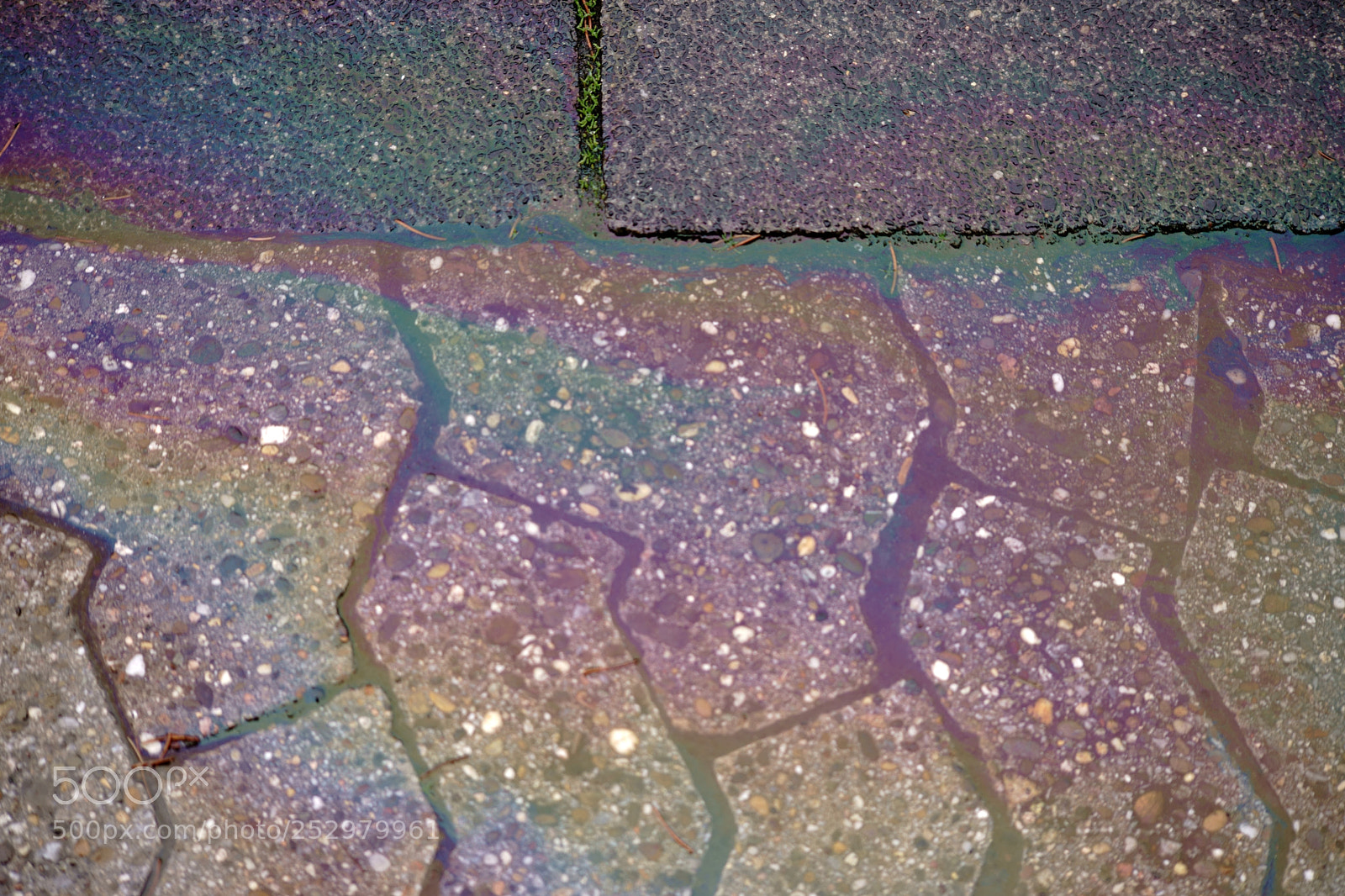 Sony a7 II sample photo. Shimmering oil trail on photography