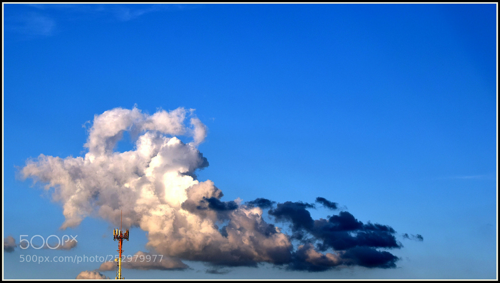 Nikon D5300 sample photo. Untitled photography