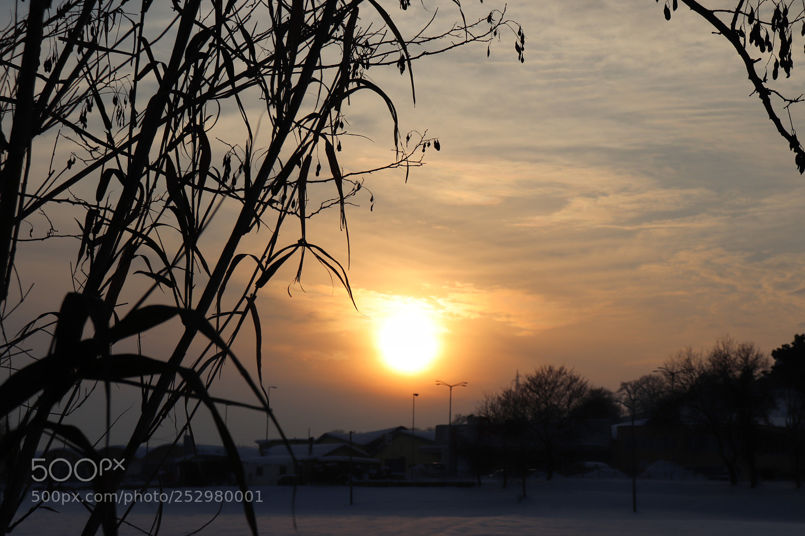 Canon EOS 200D (EOS Rebel SL2 / EOS Kiss X9) sample photo. Sunset photography