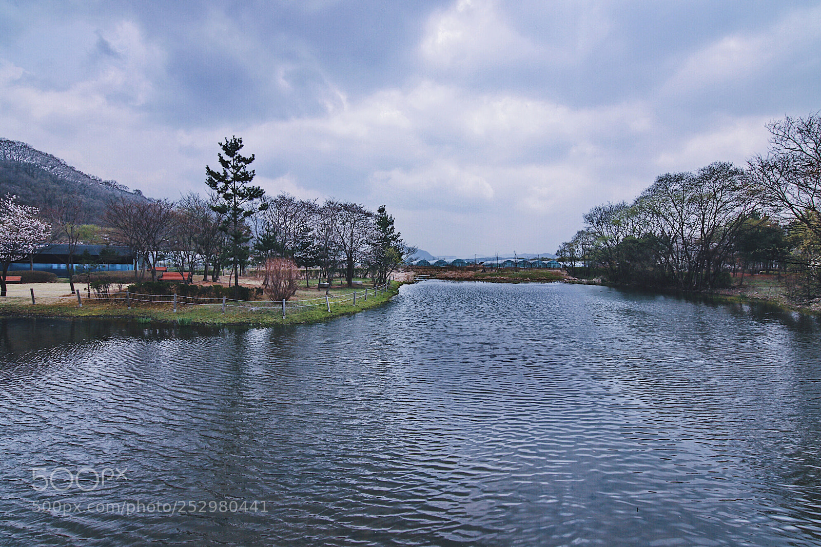 Canon EOS 80D sample photo. Untitled photography