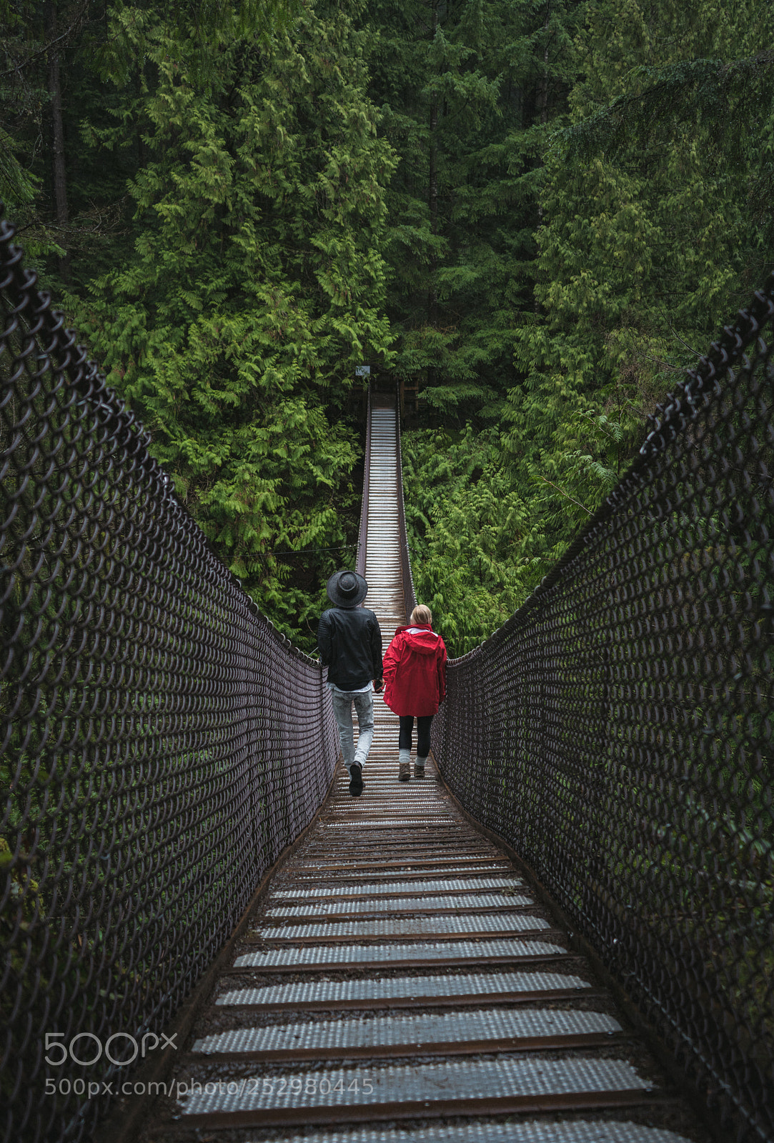 Sony a7R II sample photo. Wandering  photography