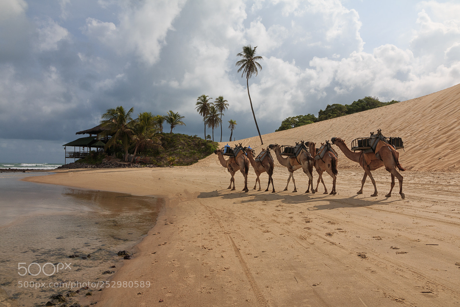 Canon EOS 70D sample photo. Genipabu sand dunes and photography
