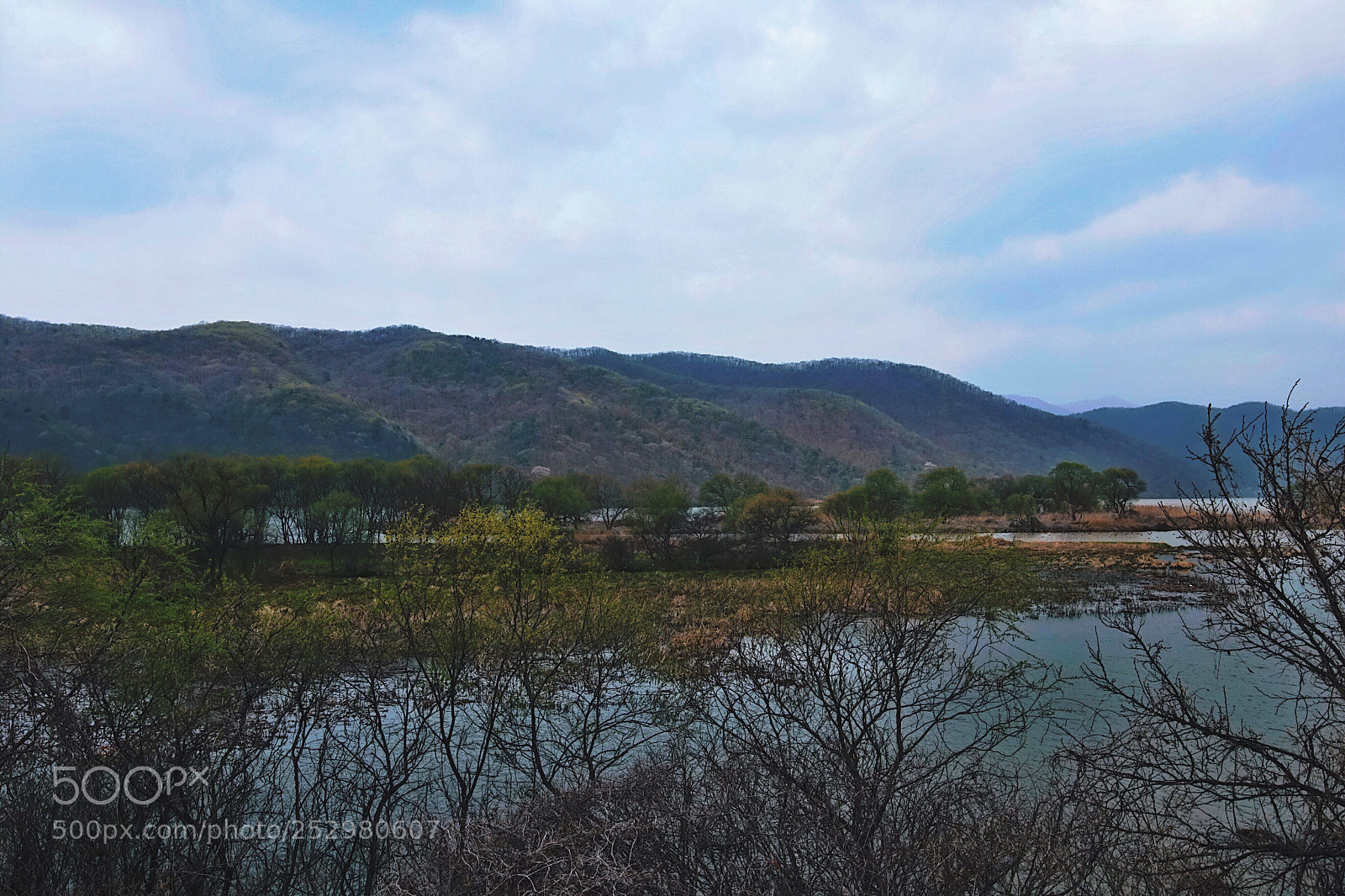 Canon EOS 80D sample photo. Untitled photography