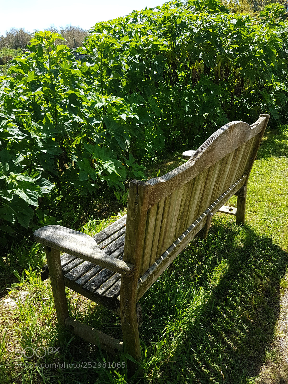 Samsung Galaxy S7 sample photo. Have a seat! photography