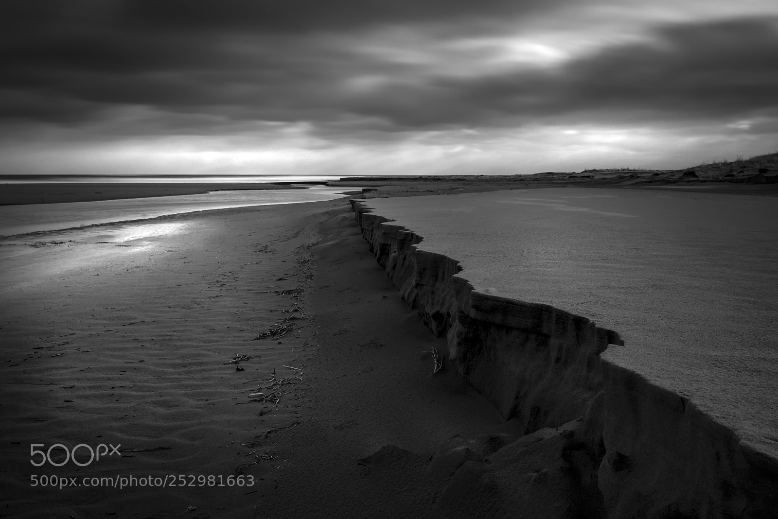 Nikon D610 sample photo. Run to the sea ... photography