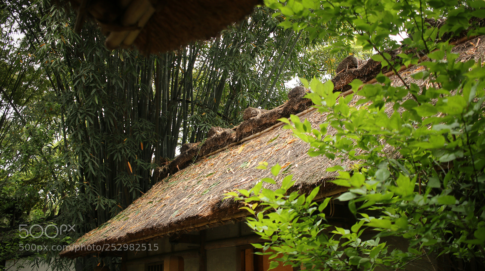 Canon EOS 70D sample photo. Dufu thatched cottage photography