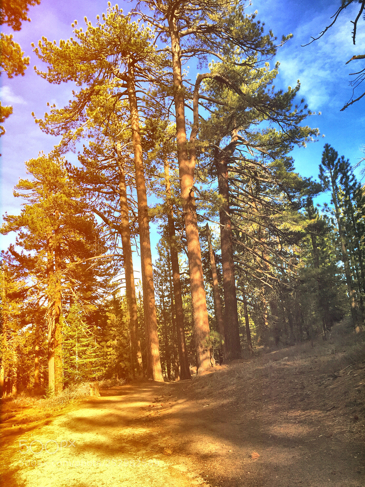 Apple iPhone 6 sample photo. Untitled photography