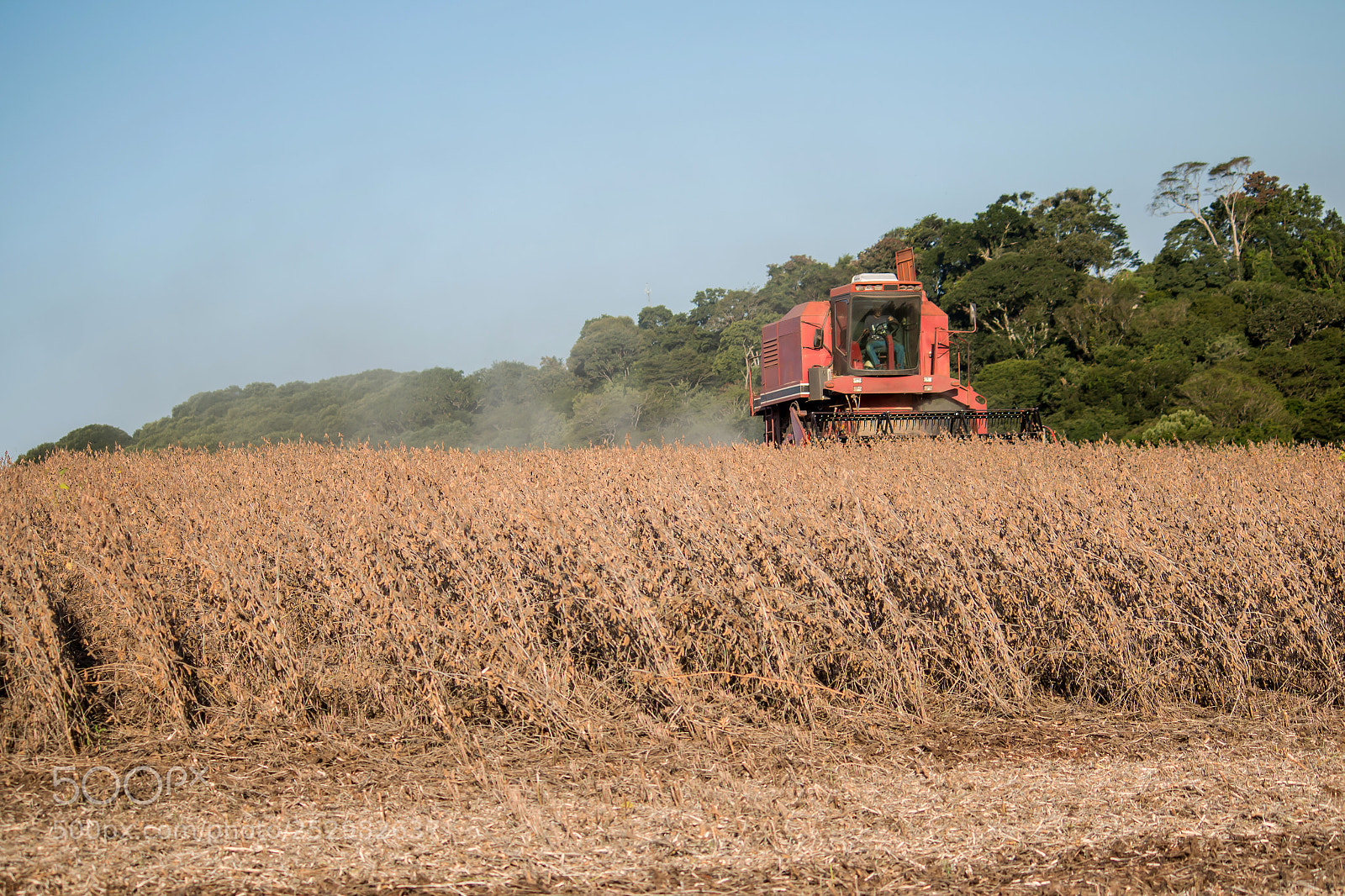 Canon EOS 70D sample photo. Soybean harvest photography