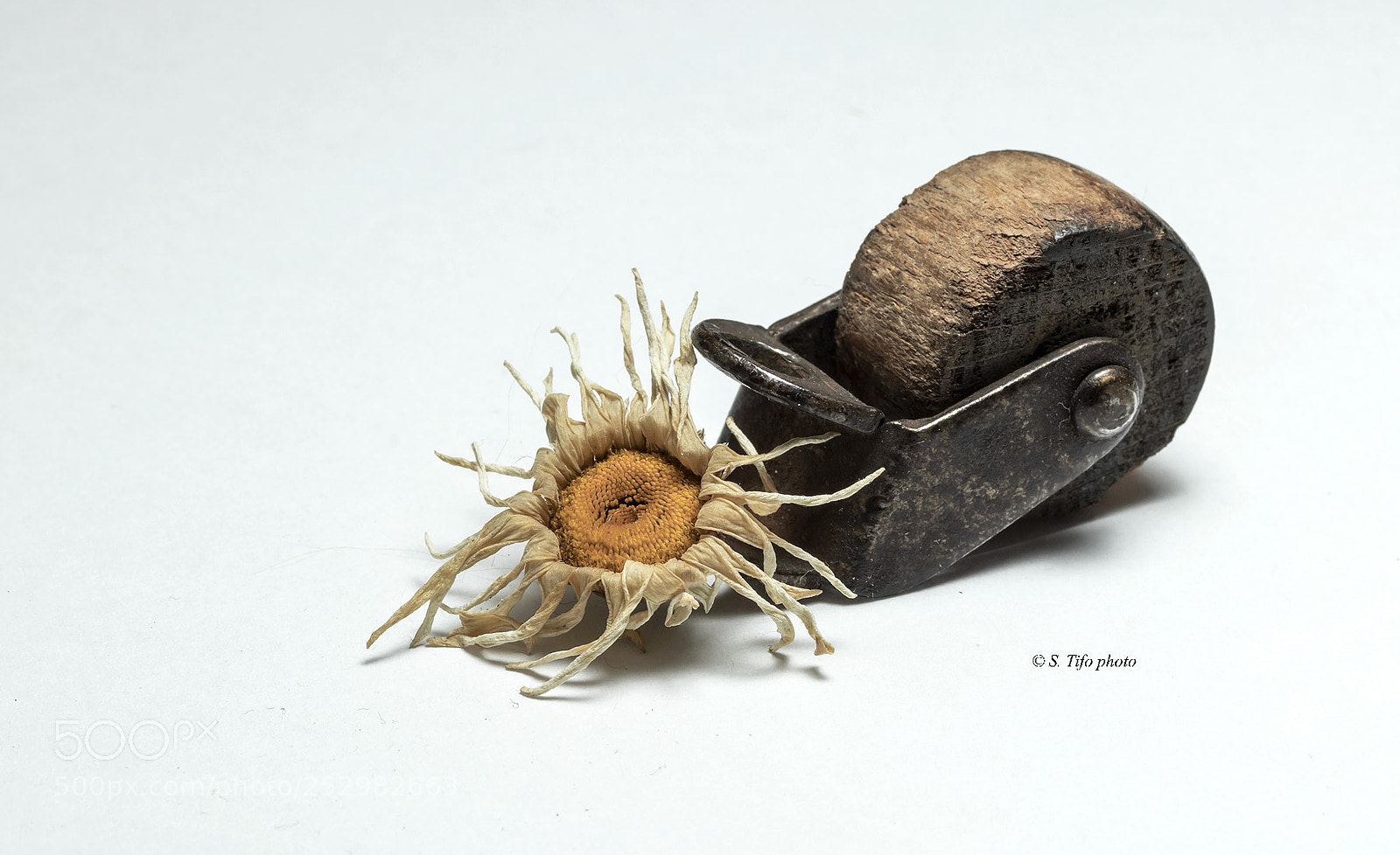 Canon EOS 80D sample photo. Little wheel and old photography