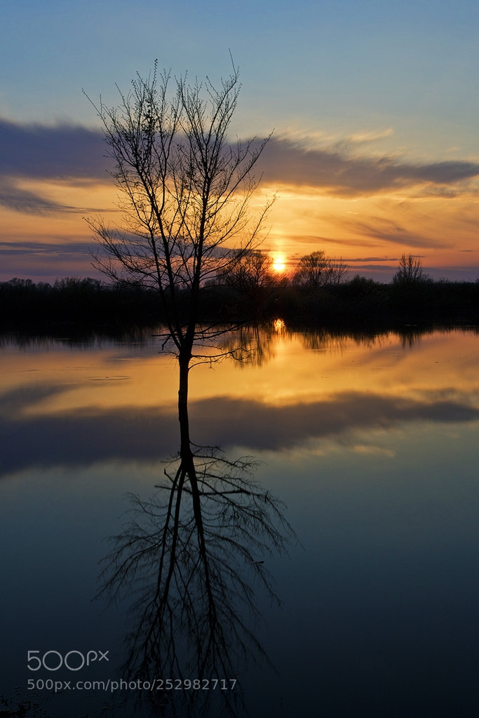 Canon EOS 7D Mark II sample photo. Spring view photography
