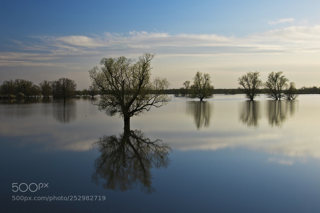 Canon EOS 7D Mark II sample photo. Spring view photography