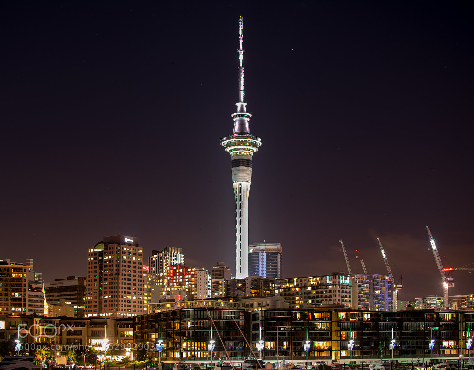 Nikon D5300 sample photo. Auckland at night photography