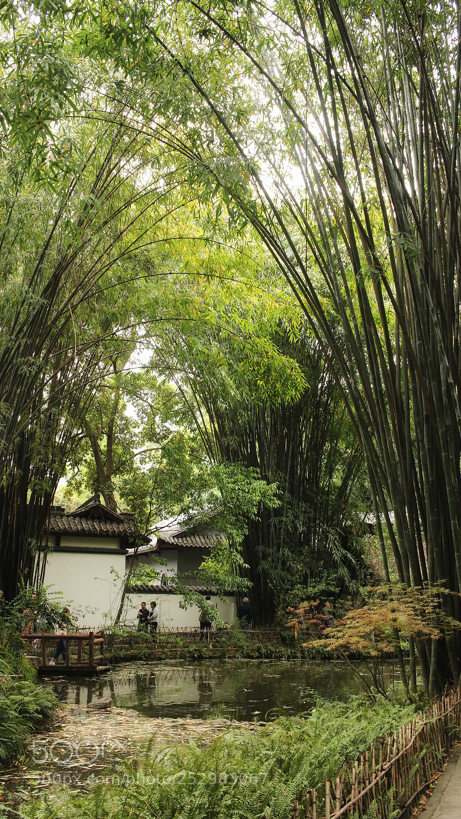 Canon EOS 70D sample photo. Bamboo in dufu thatched photography