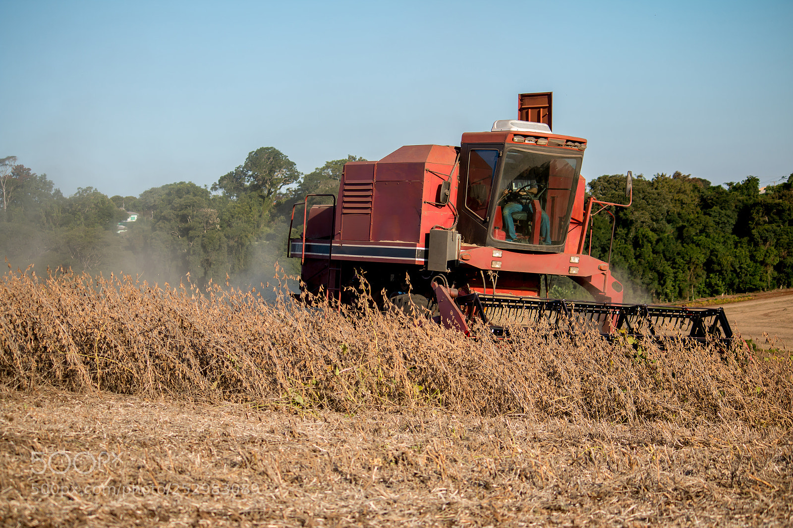 Canon EOS 70D sample photo. Soybean harvest photography