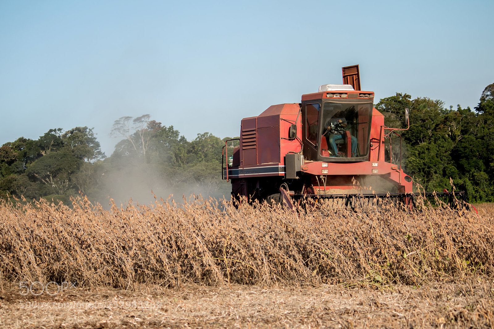 Canon EOS 70D sample photo. Soybean harvest photography