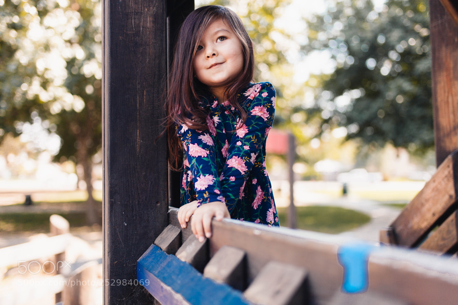 Canon EOS 5D Mark II sample photo. Img photography