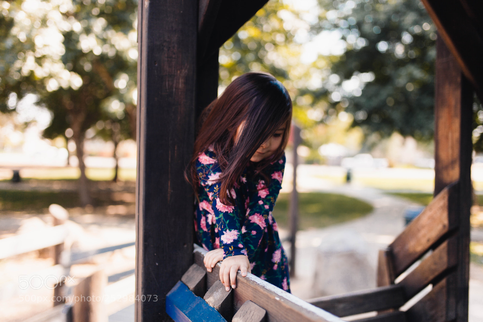 Canon EOS 5D Mark II sample photo. Img photography