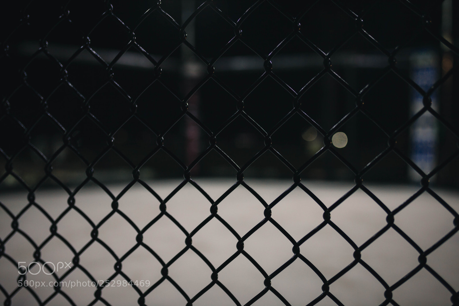 Canon EOS 5D Mark II sample photo. Mzf# photography