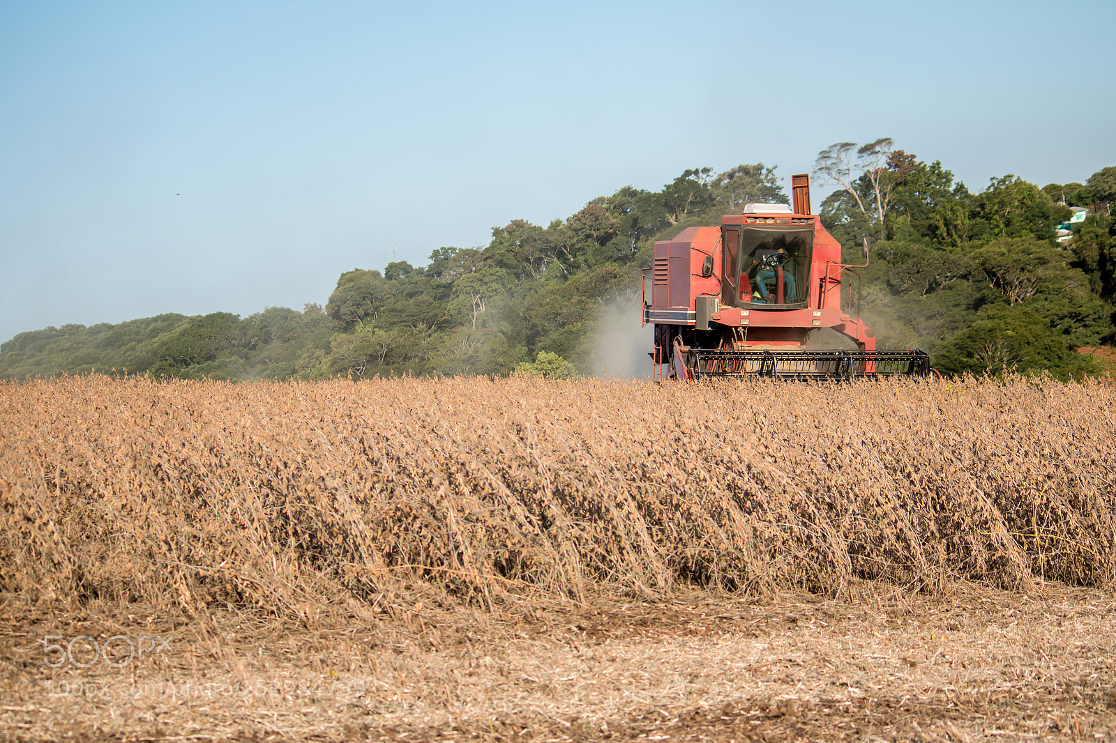 Canon EOS 70D sample photo. Soybean harvest photography