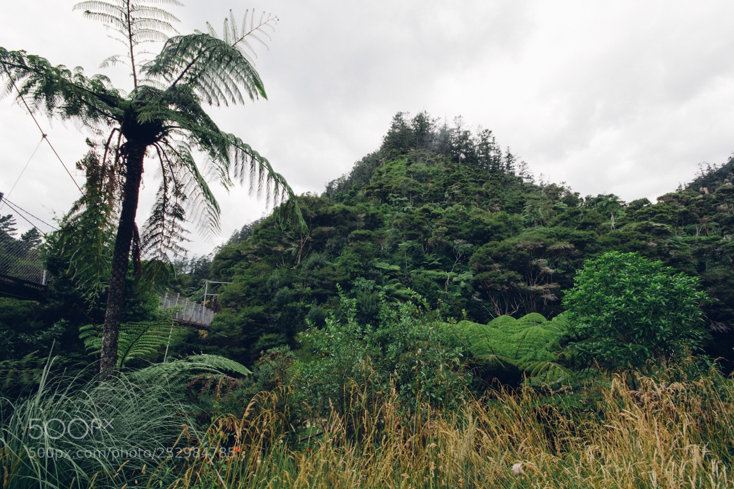 Canon EOS 7D sample photo. Karangahake photography