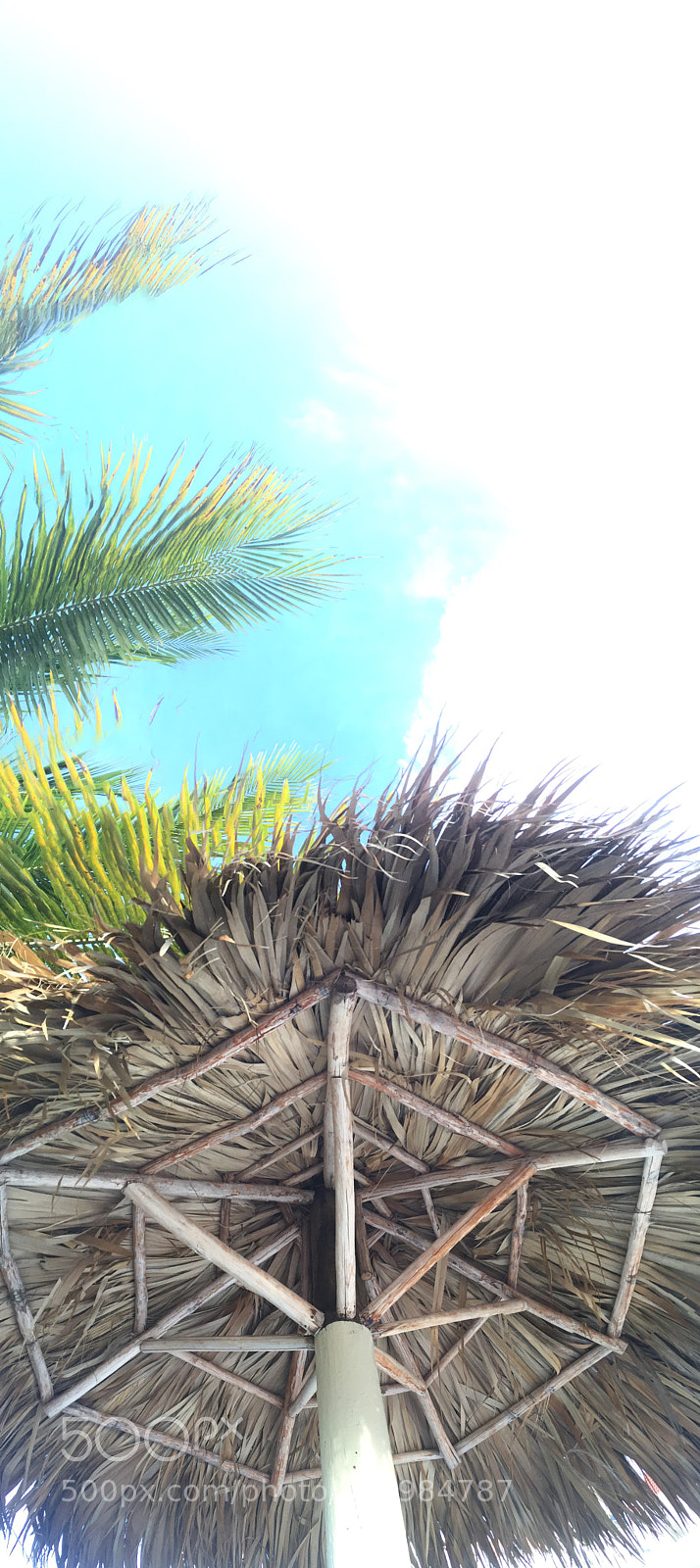 Apple iPhone 6 sample photo. Beach photography
