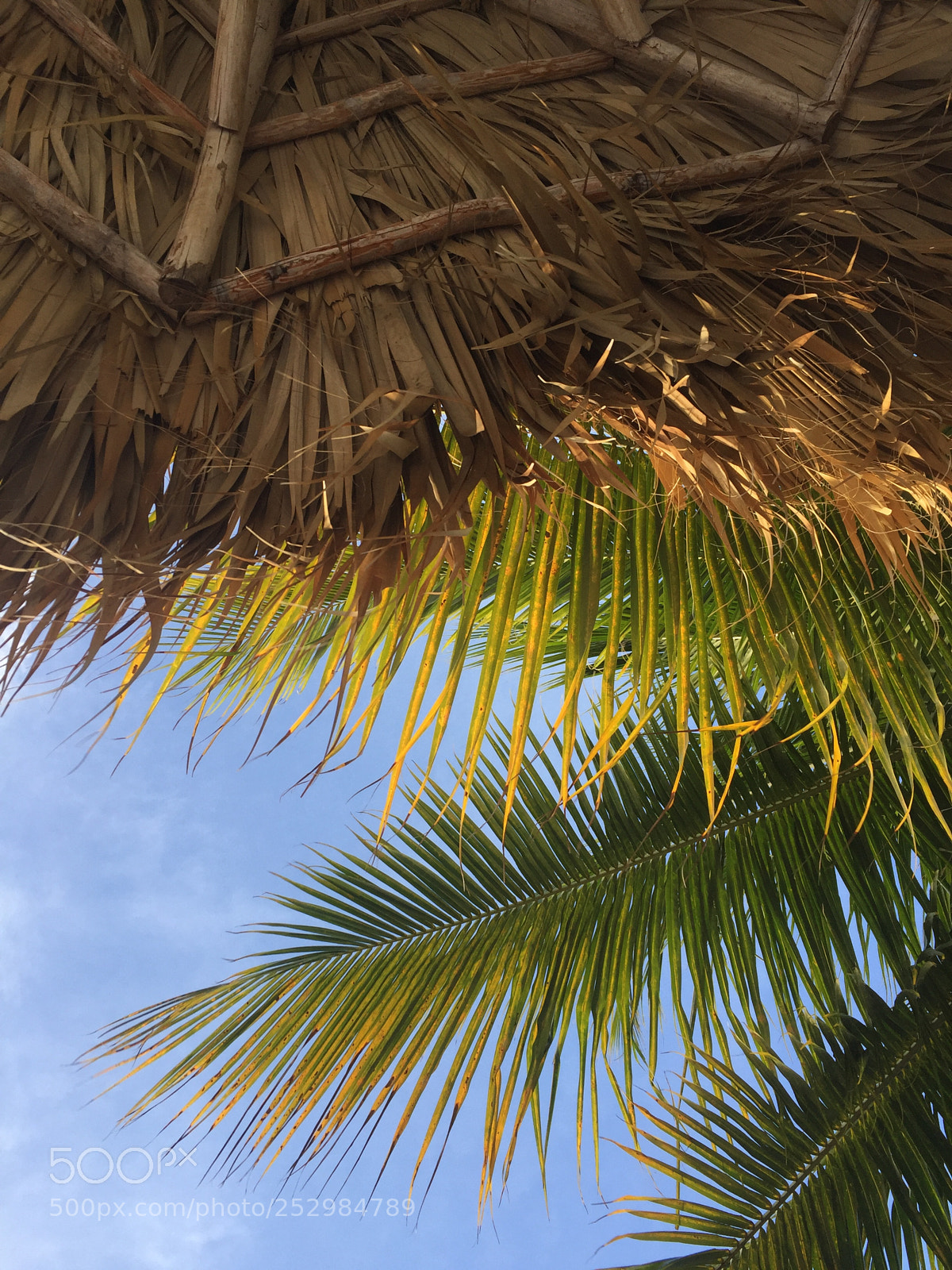 Apple iPhone 6 sample photo. Beach photography