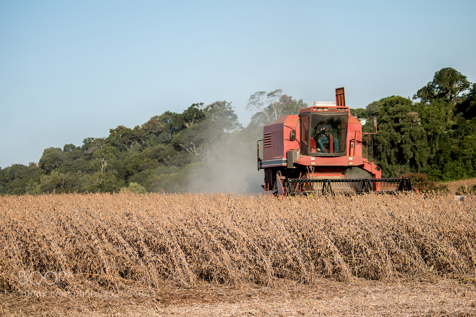 Canon EOS 70D sample photo. Soybean harvest photography