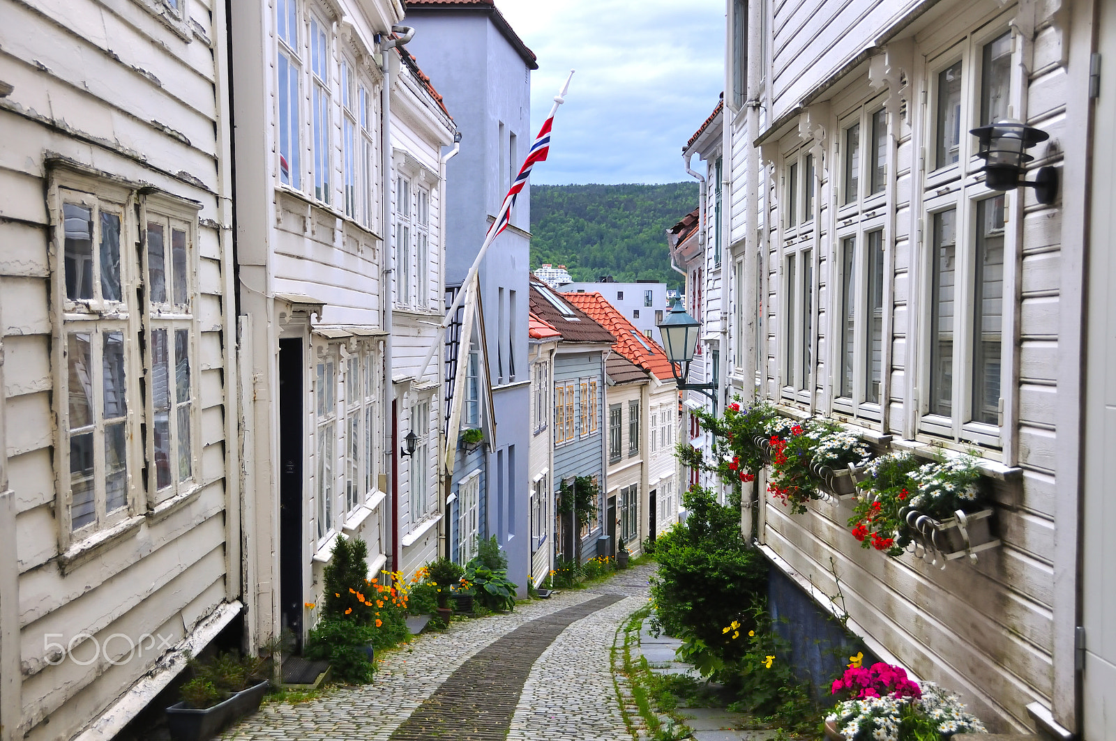 Nikon D90 sample photo. White houses of wood photography