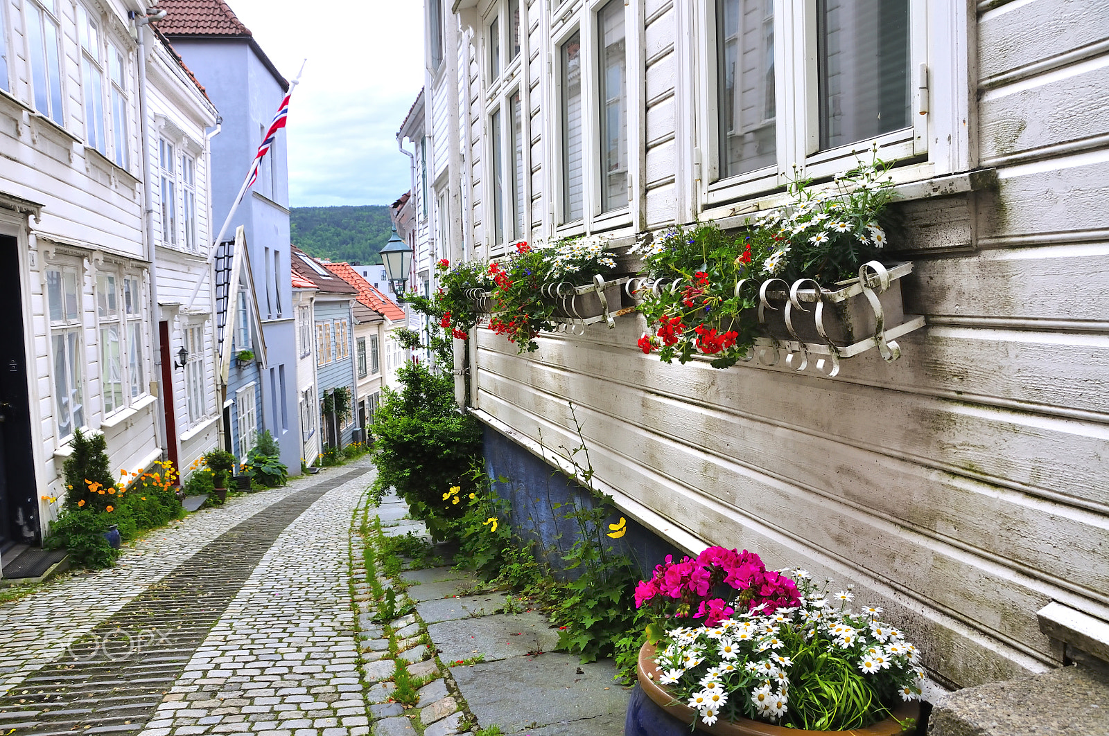 Nikon D90 sample photo. White houses of wood photography