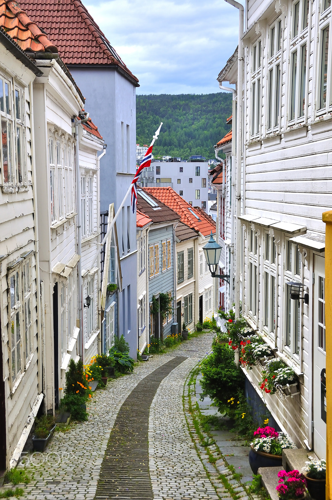 Nikon D90 sample photo. White houses of wood photography