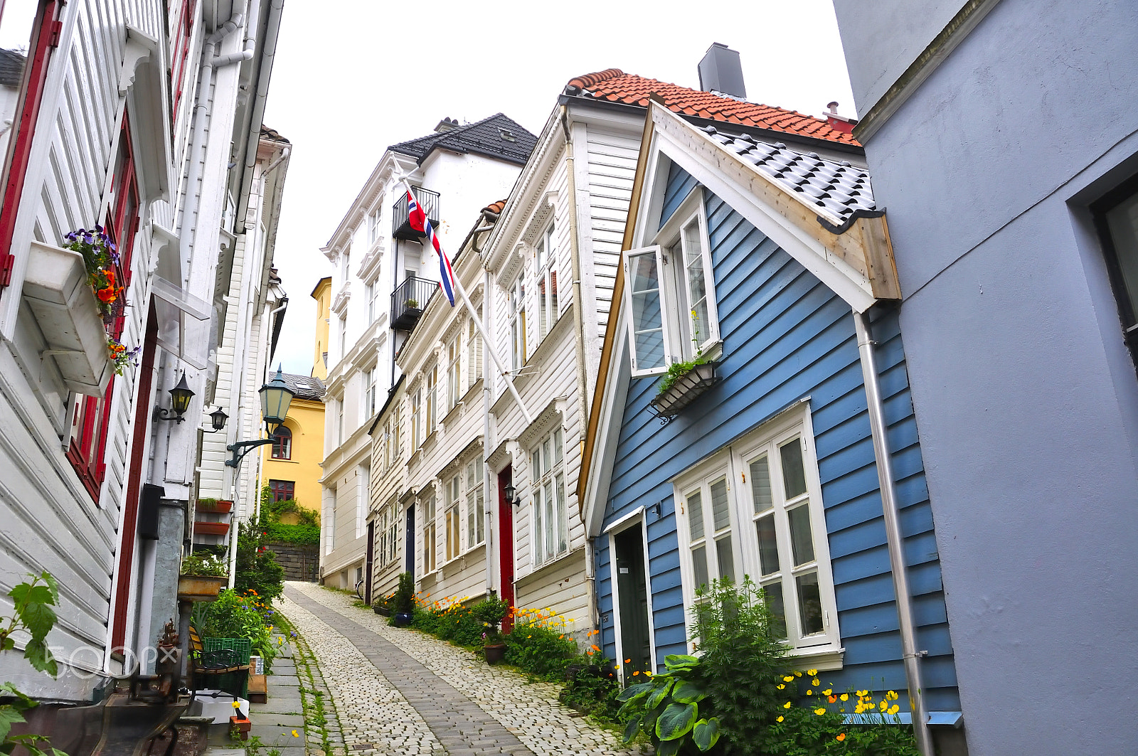 Nikon D90 sample photo. White houses of wood photography