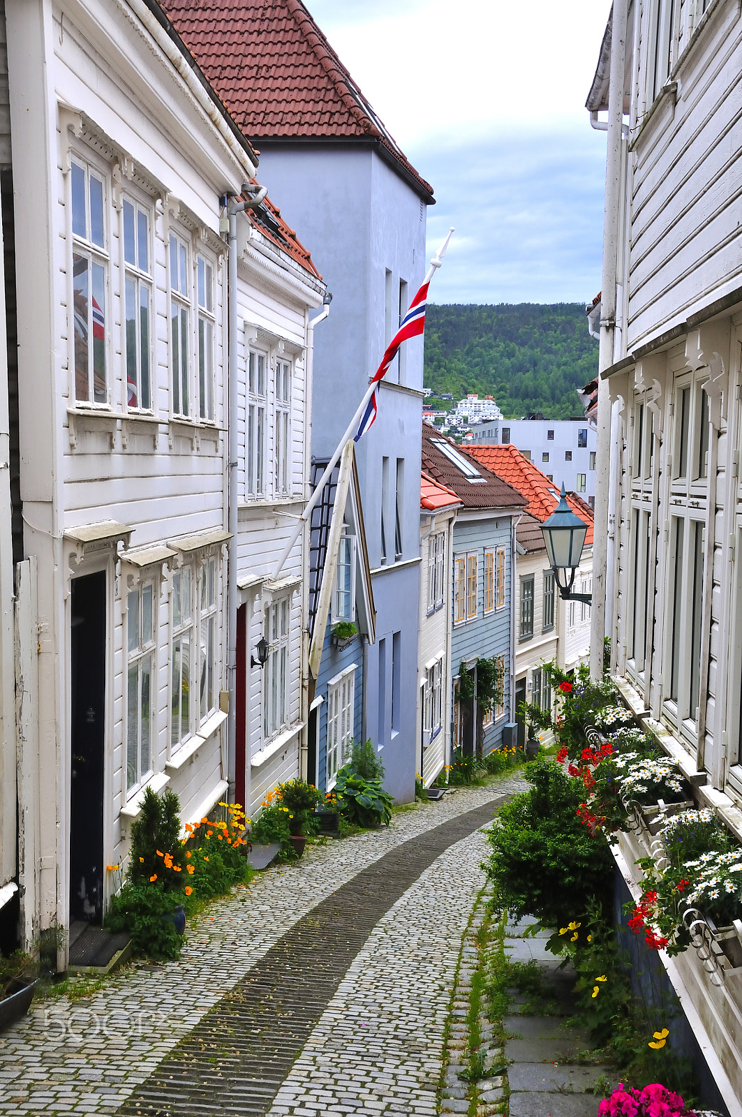 Nikon D90 sample photo. White houses of wood photography
