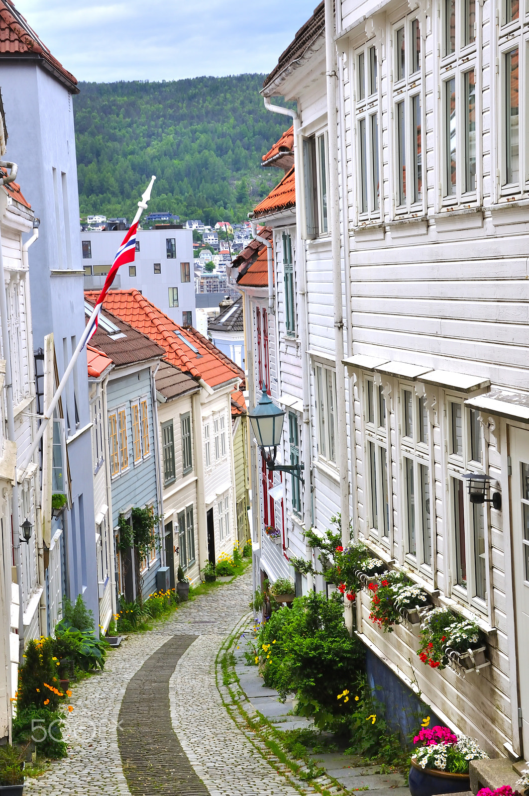 Nikon D90 sample photo. White houses of wood photography