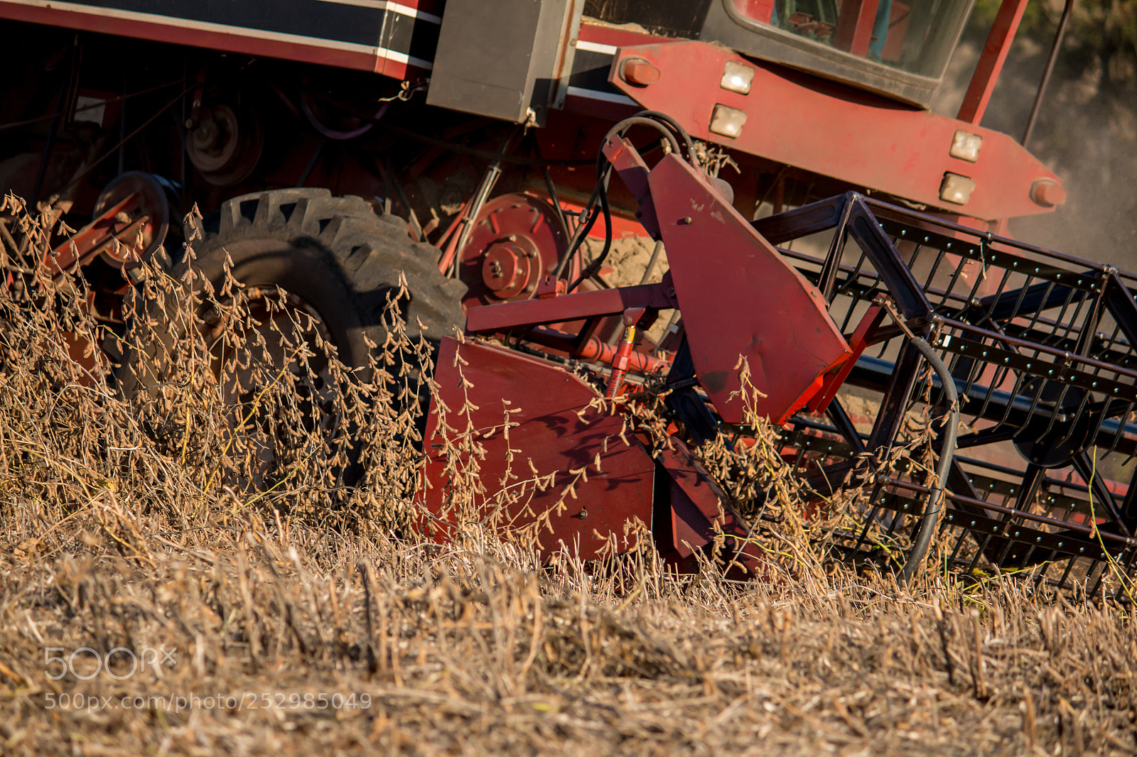 Canon EOS 70D sample photo. Soybean harvest photography