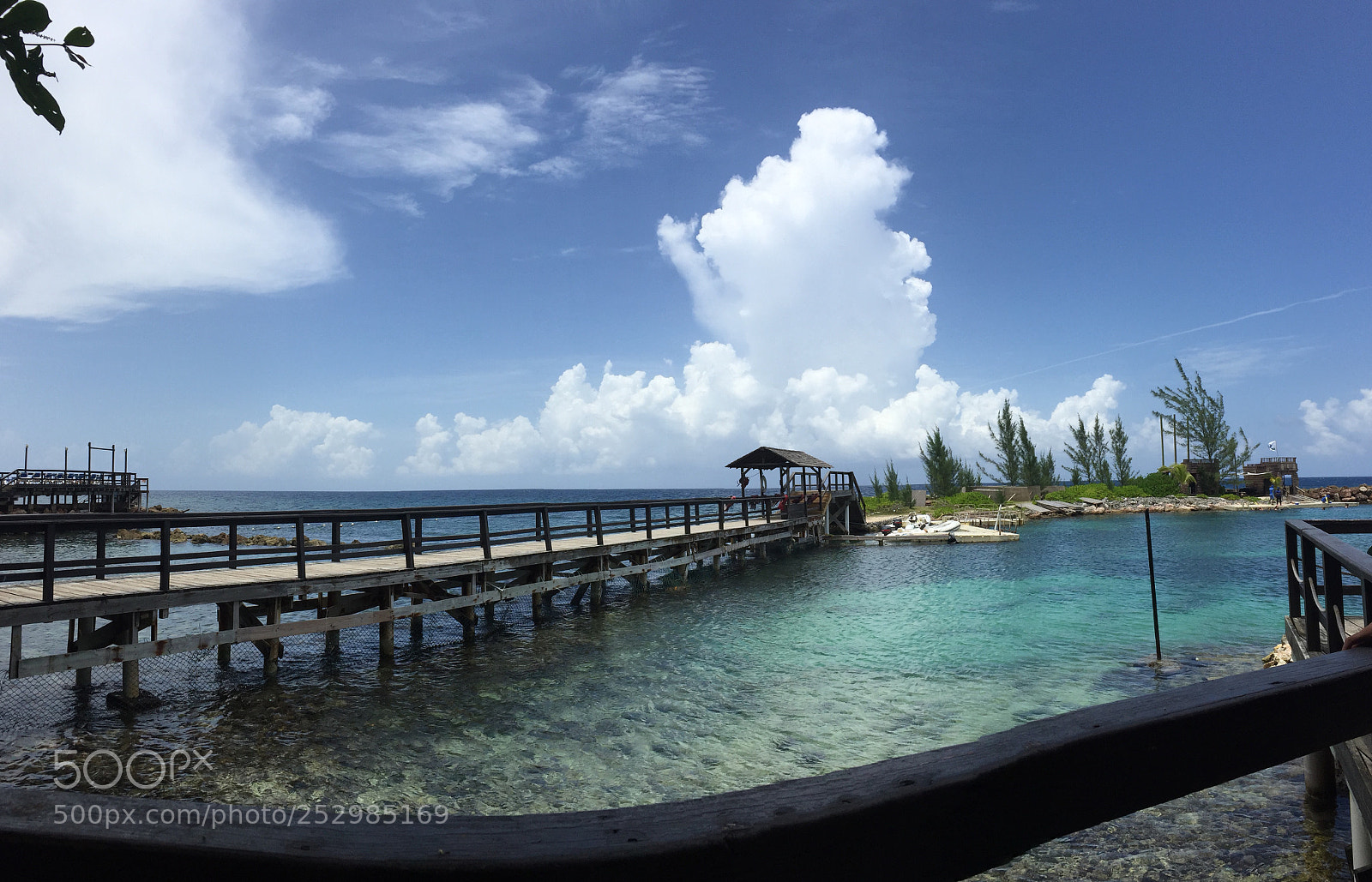 Apple iPhone 6 sample photo. Img photography