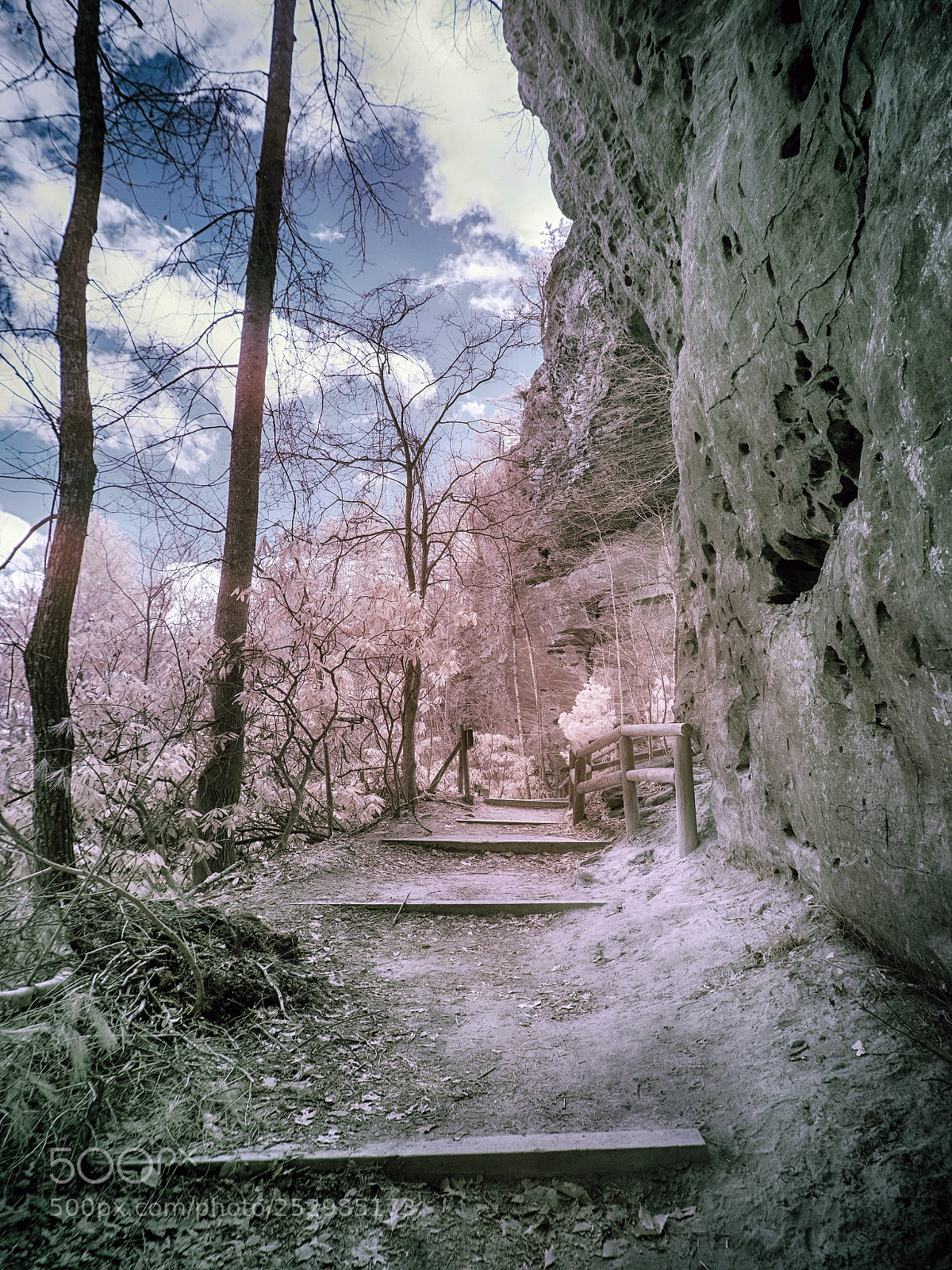 Olympus OM-D E-M10 II sample photo. Natural bridge park, kentucky photography