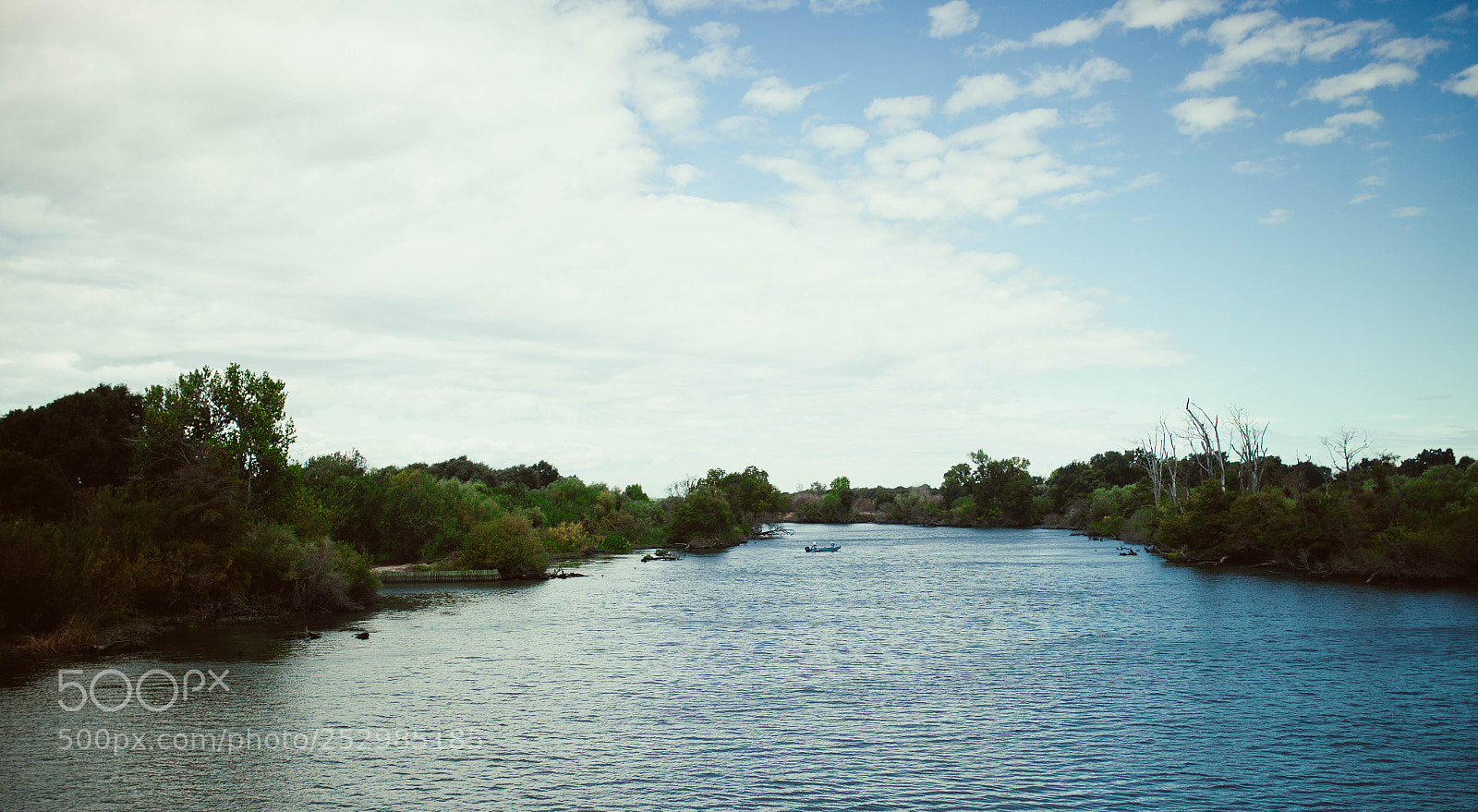 Canon EOS 5D Mark II sample photo. Applehill photography