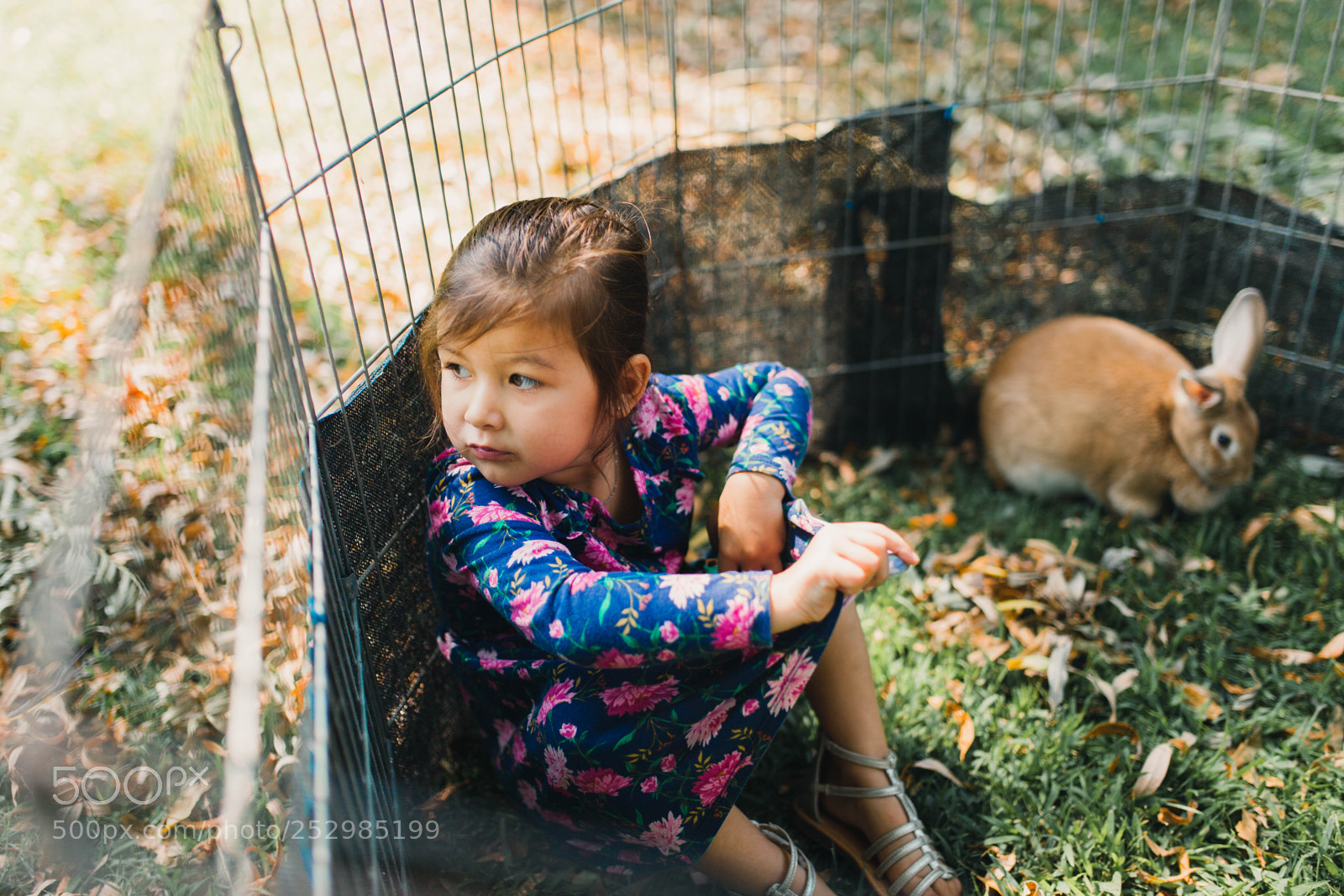 Canon EOS 5D Mark II sample photo. K&k photography