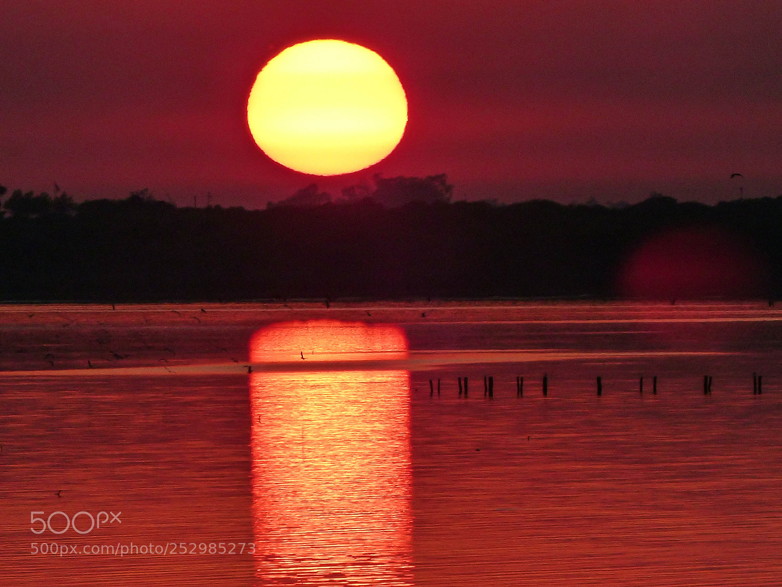 Panasonic Lumix DMC-FZ200 sample photo. Amanecer en laguna del photography