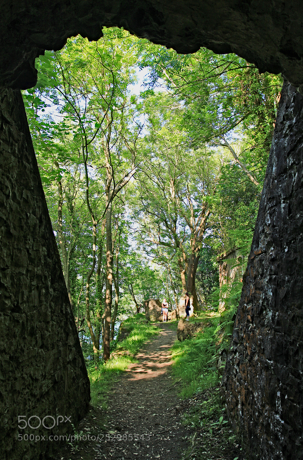 Canon EOS 550D (EOS Rebel T2i / EOS Kiss X4) sample photo. Walked into a fairytale photography