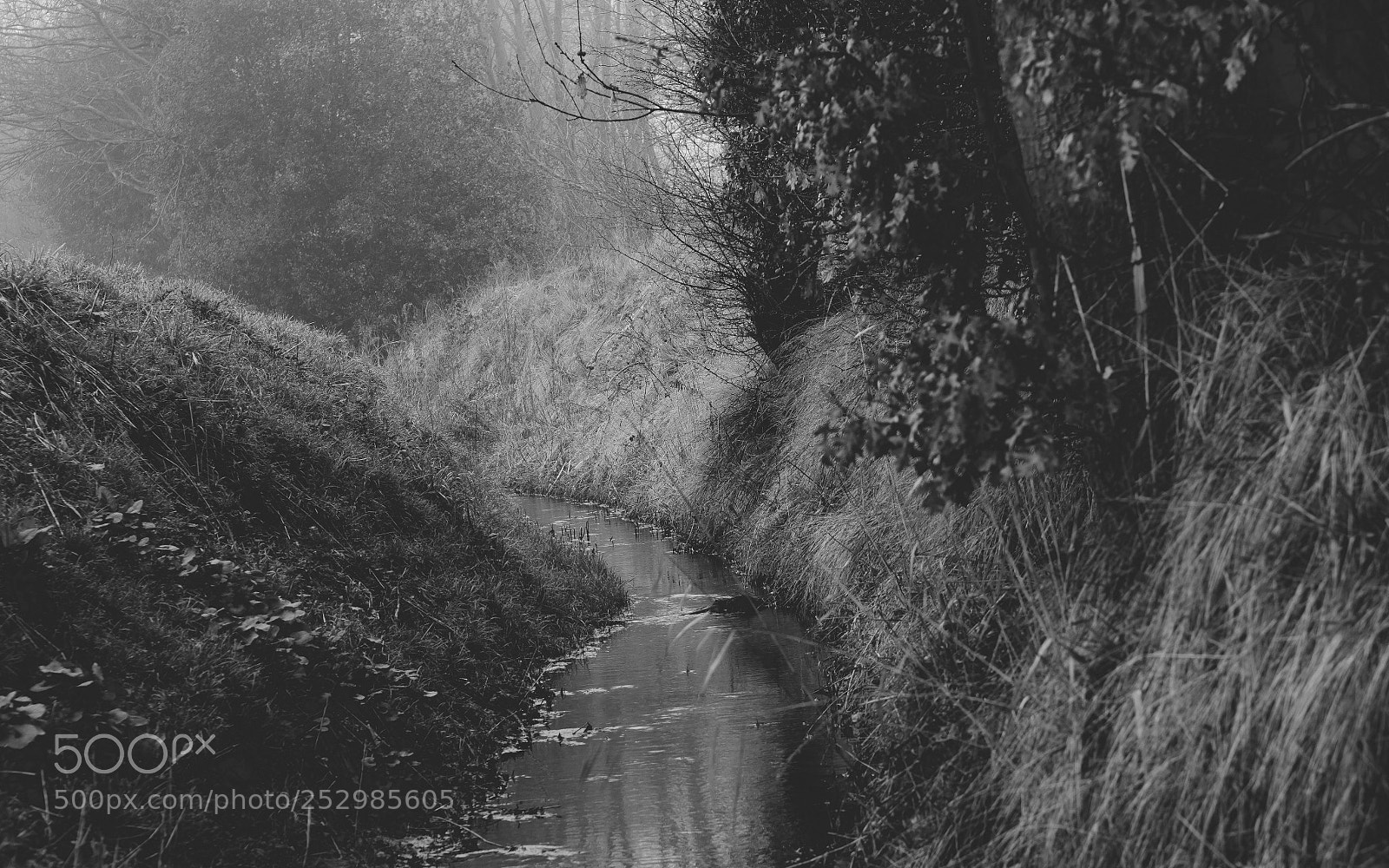 Olympus OM-D E-M10 II sample photo. Swerving stream photography
