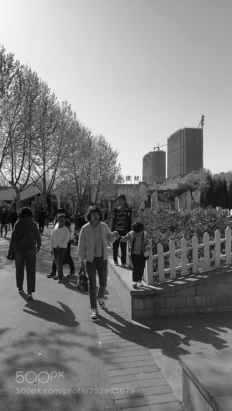 HUAWEI Mate 9 sample photo. 游园 photography
