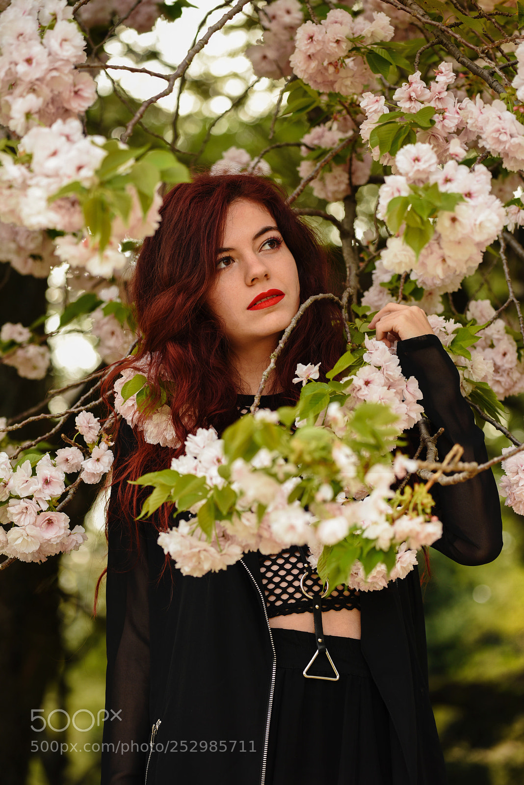 Nikon D810 sample photo. Pink on red photography