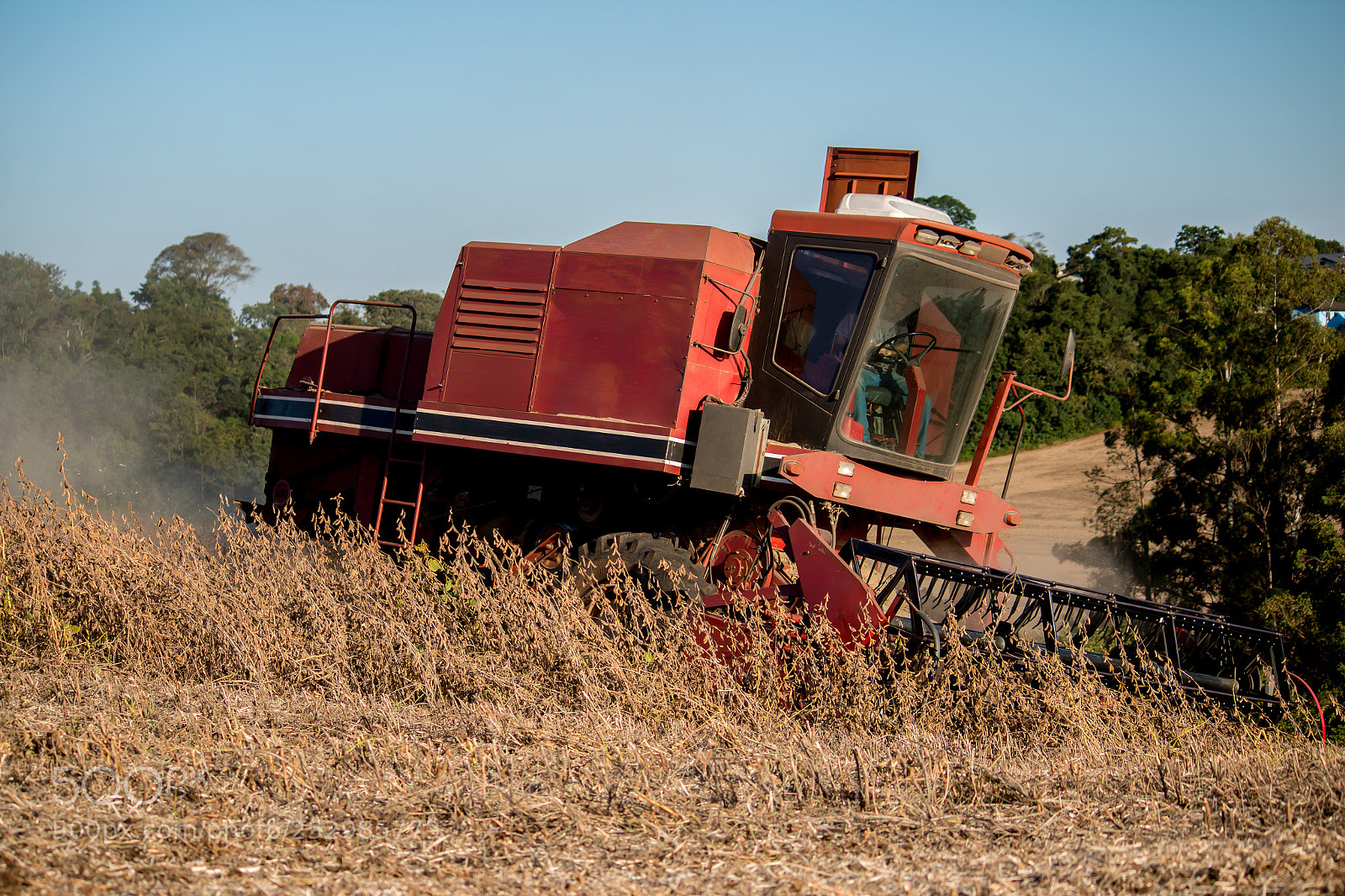 Canon EOS 70D sample photo. Soybean harvest photography