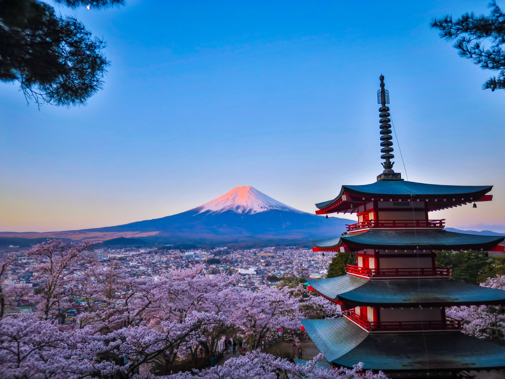 Canon PowerShot S120 sample photo. Pink costarring-alpenglow fuji and cherry blossoms photography