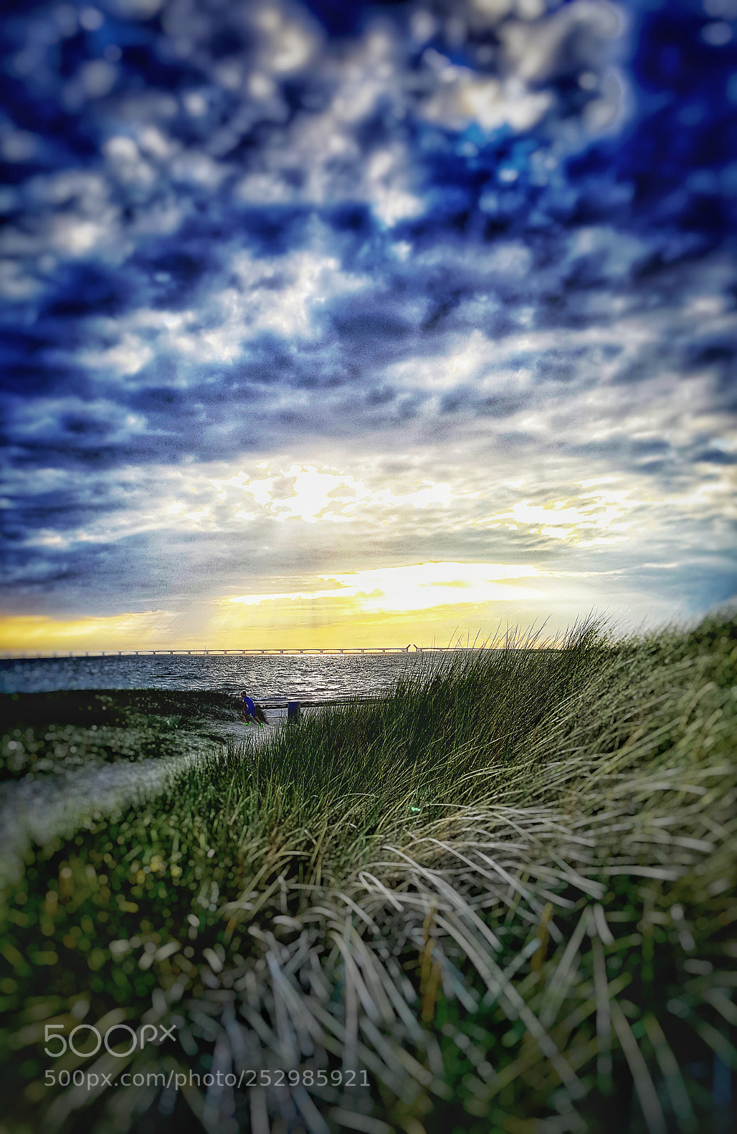 Samsung Galaxy S6 sample photo. • beach in zeeland • photography
