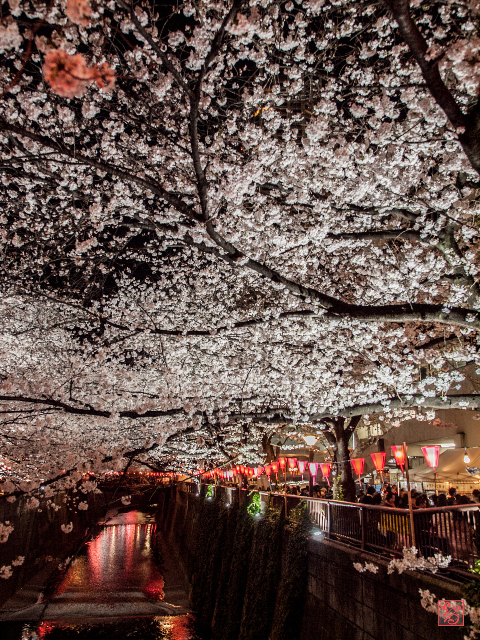 Olympus E-620 (EVOLT E-620) sample photo. 桜 -sakura- photography