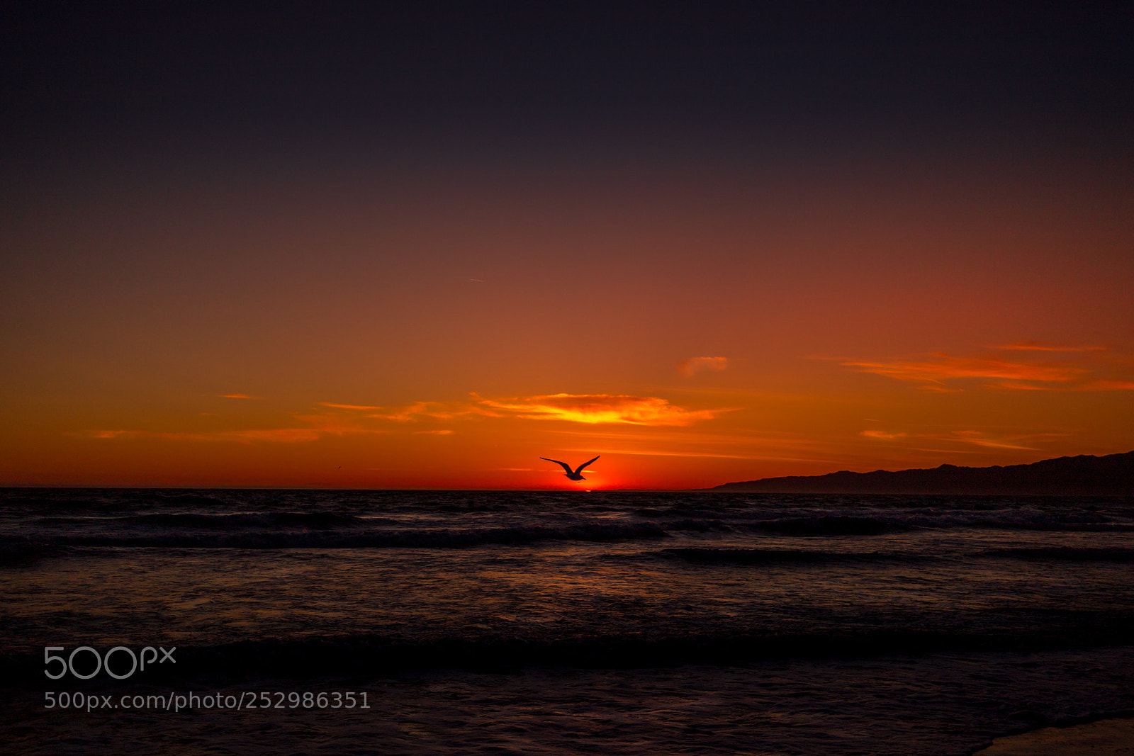 Canon EOS 6D Mark II sample photo. Pacific sunset, los angeles photography