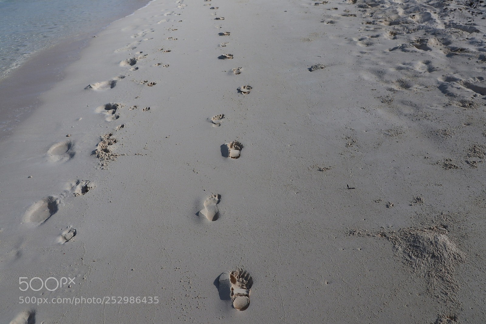 Canon EOS M6 sample photo. Travel photography